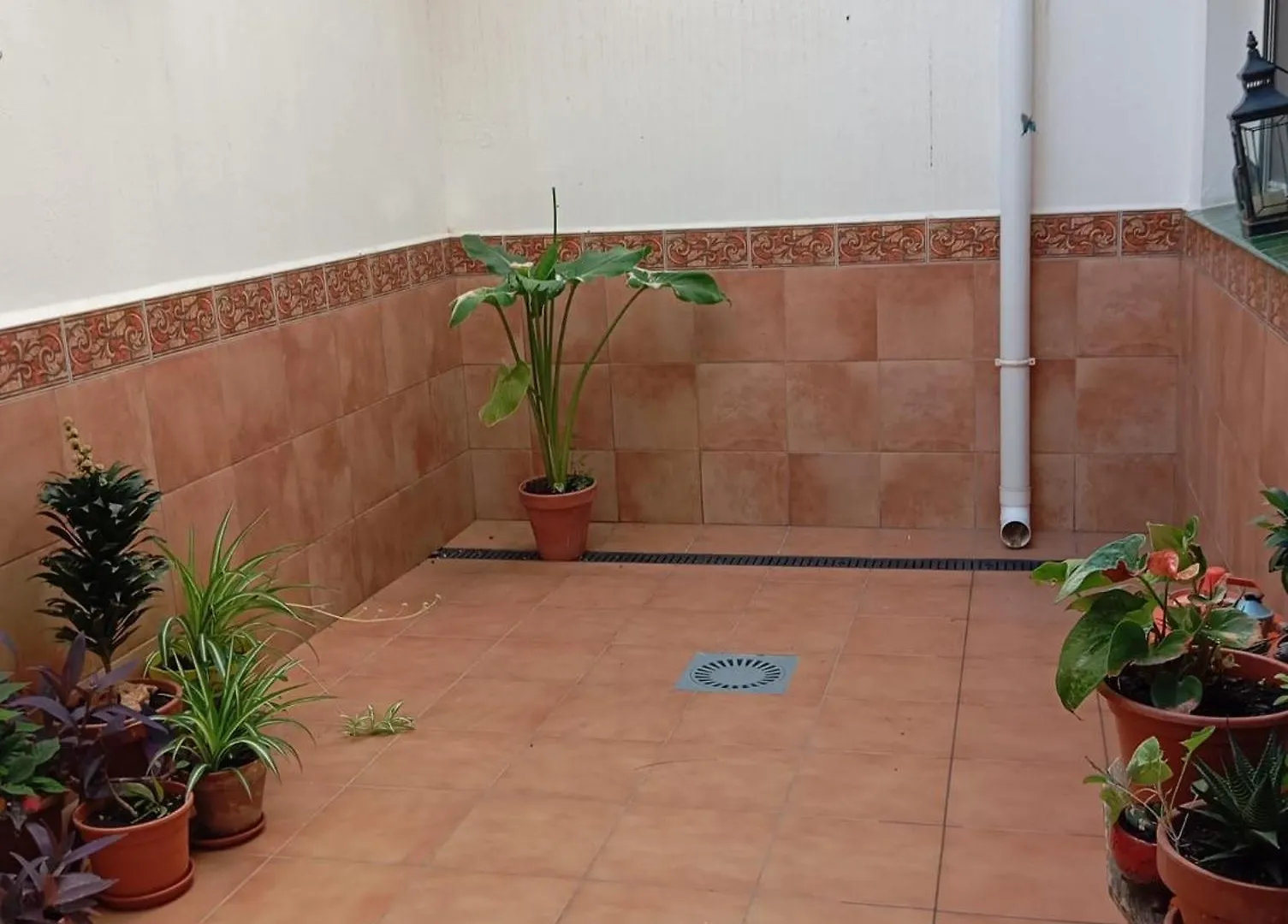 Apartamento Amapola Málaga