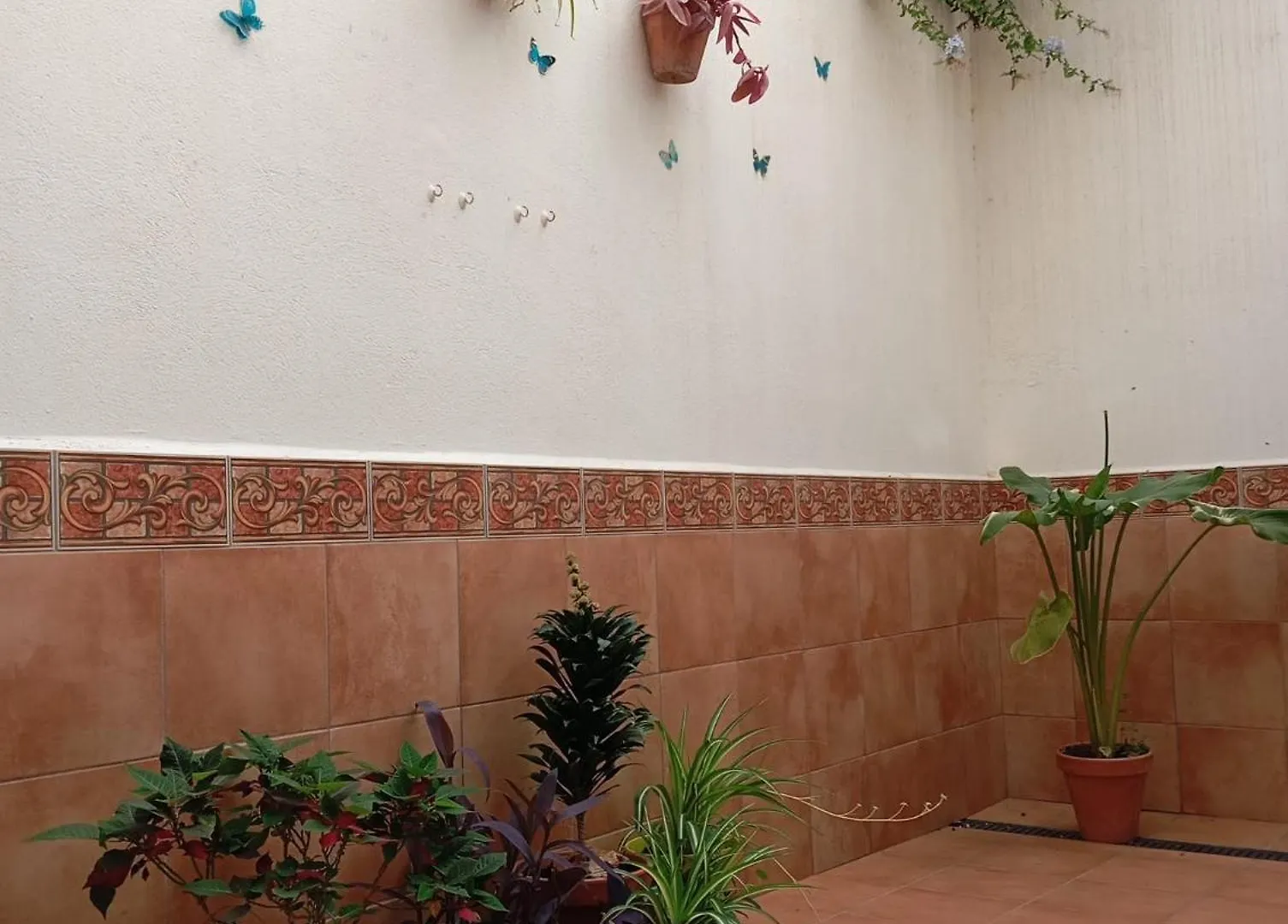 Apartamento Amapola Málaga